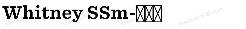 Whitney SSm字体转换